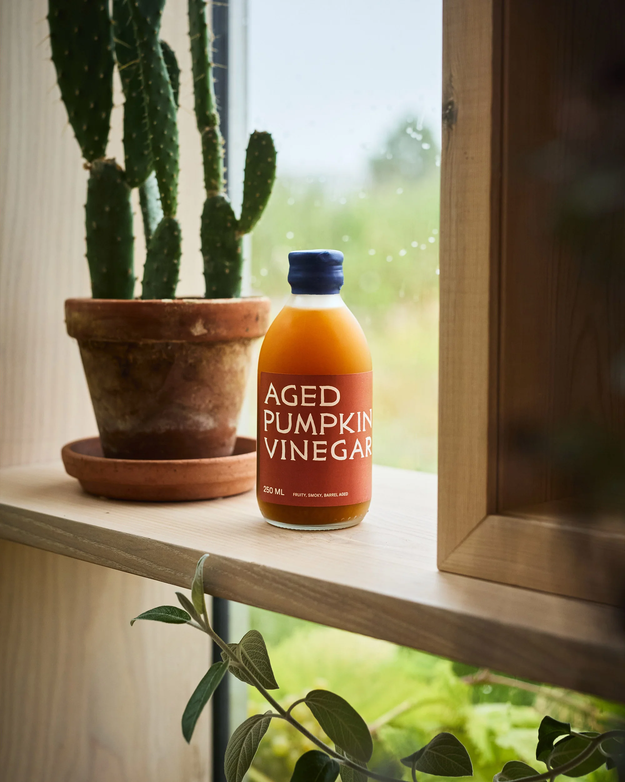 Aged Pumpkin Vinegar - Image 4