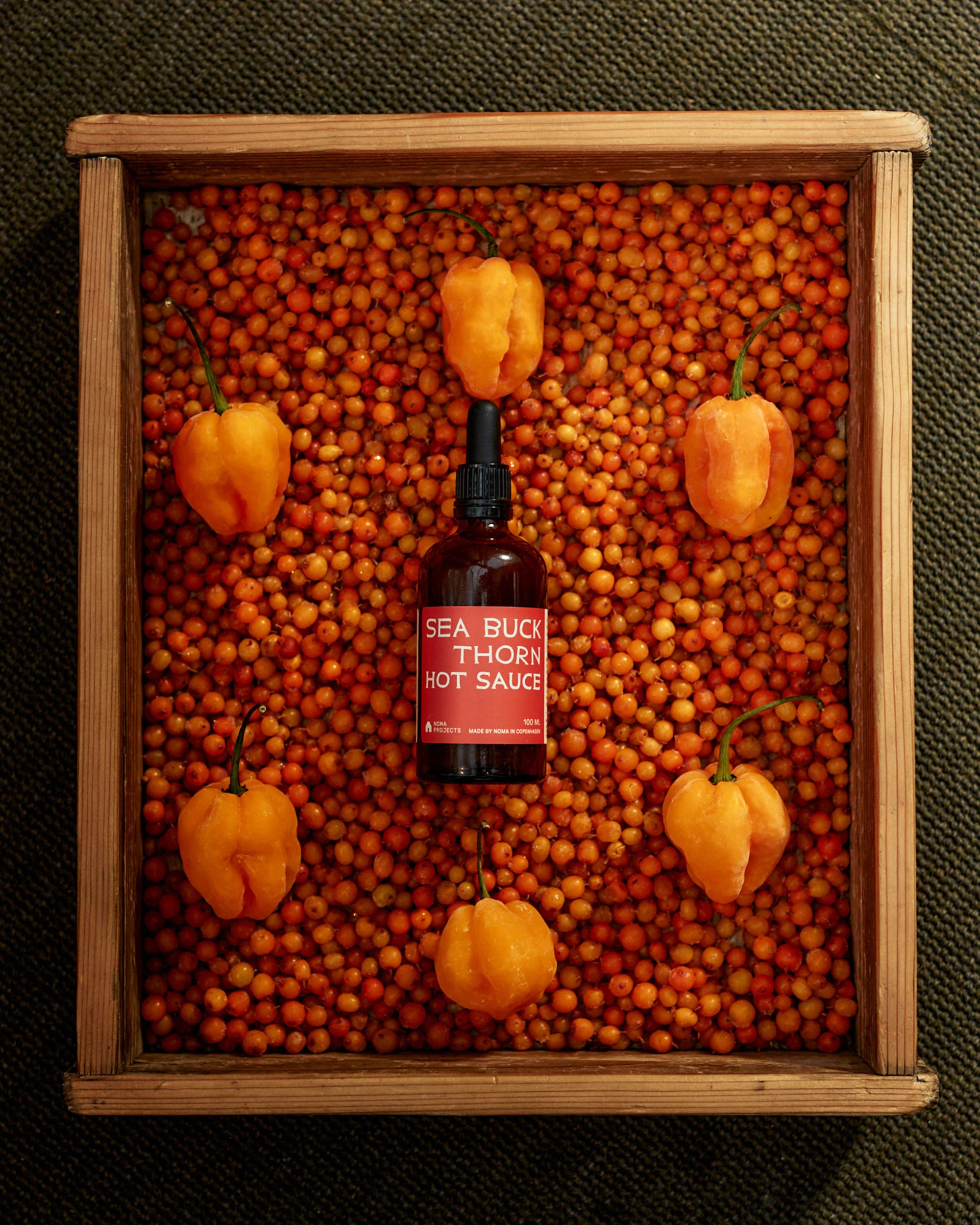 Best of Taste Buds - Image 4
