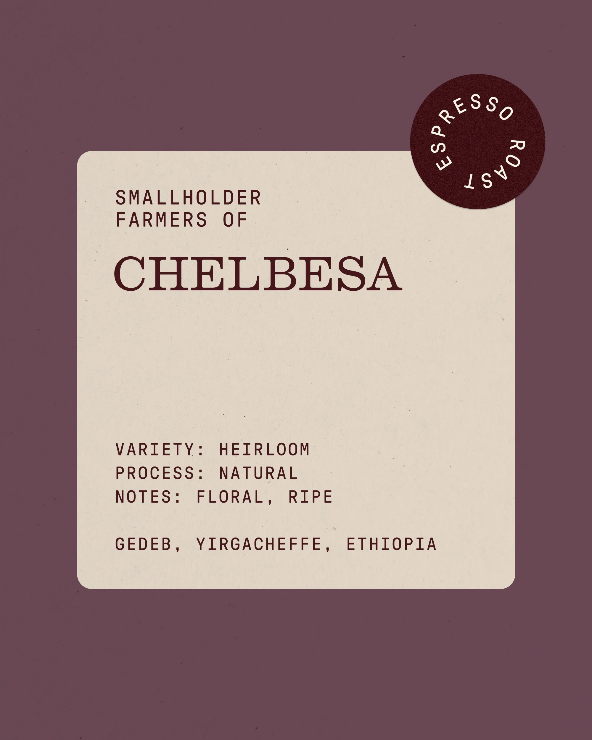 Breakfast Flavor Bundle - Image 6