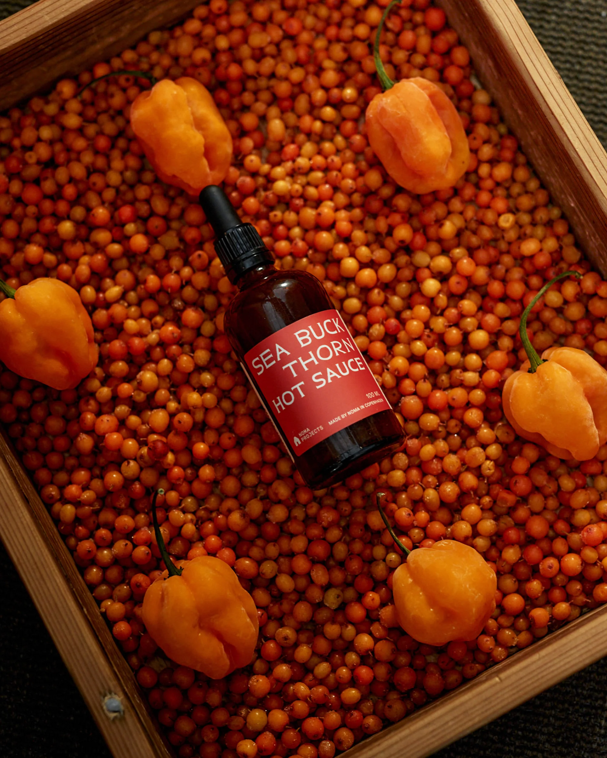 Sea Buckthorn Hot Sauce - Image 3