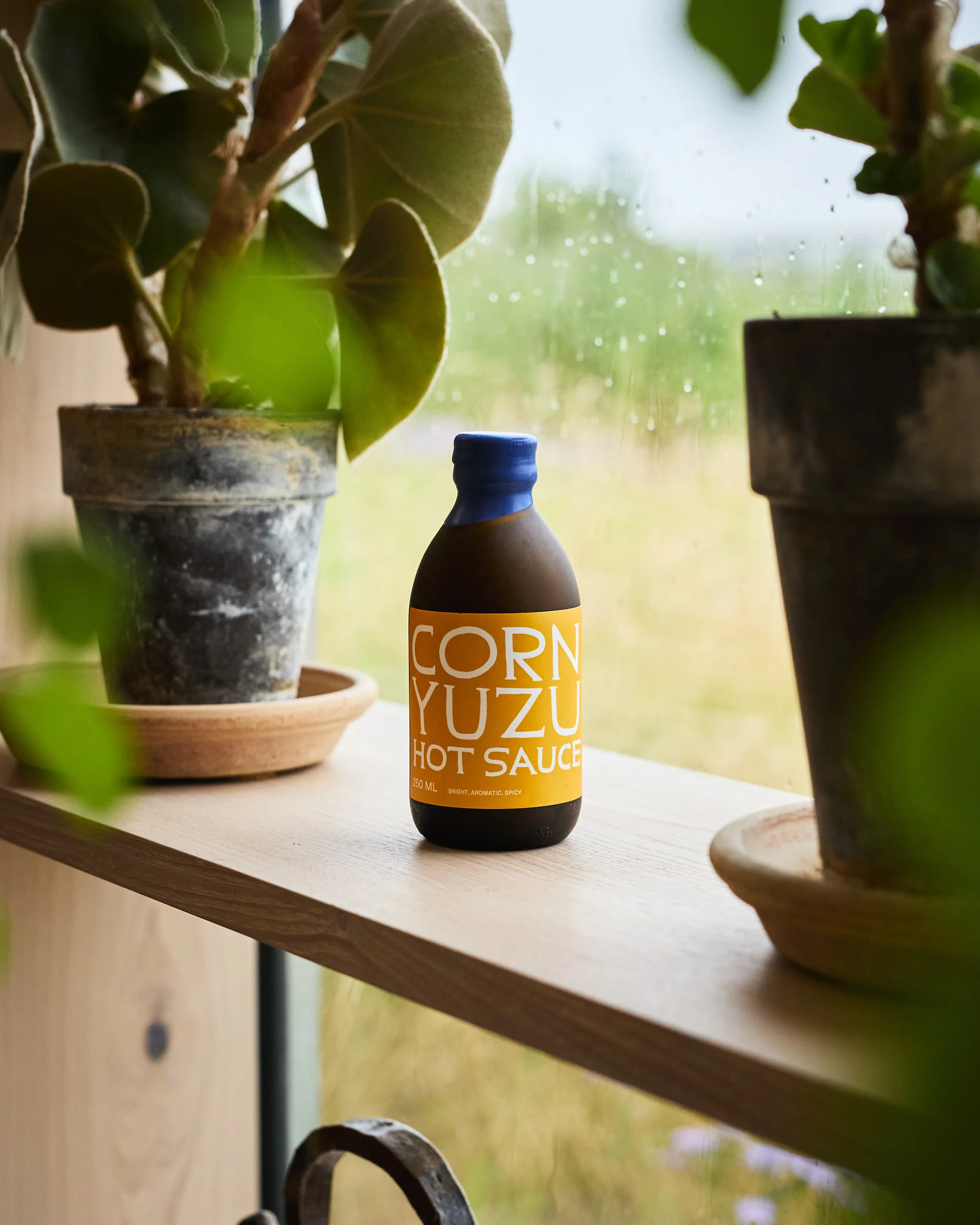 Corn Yuzu Hot Sauce - Image 4