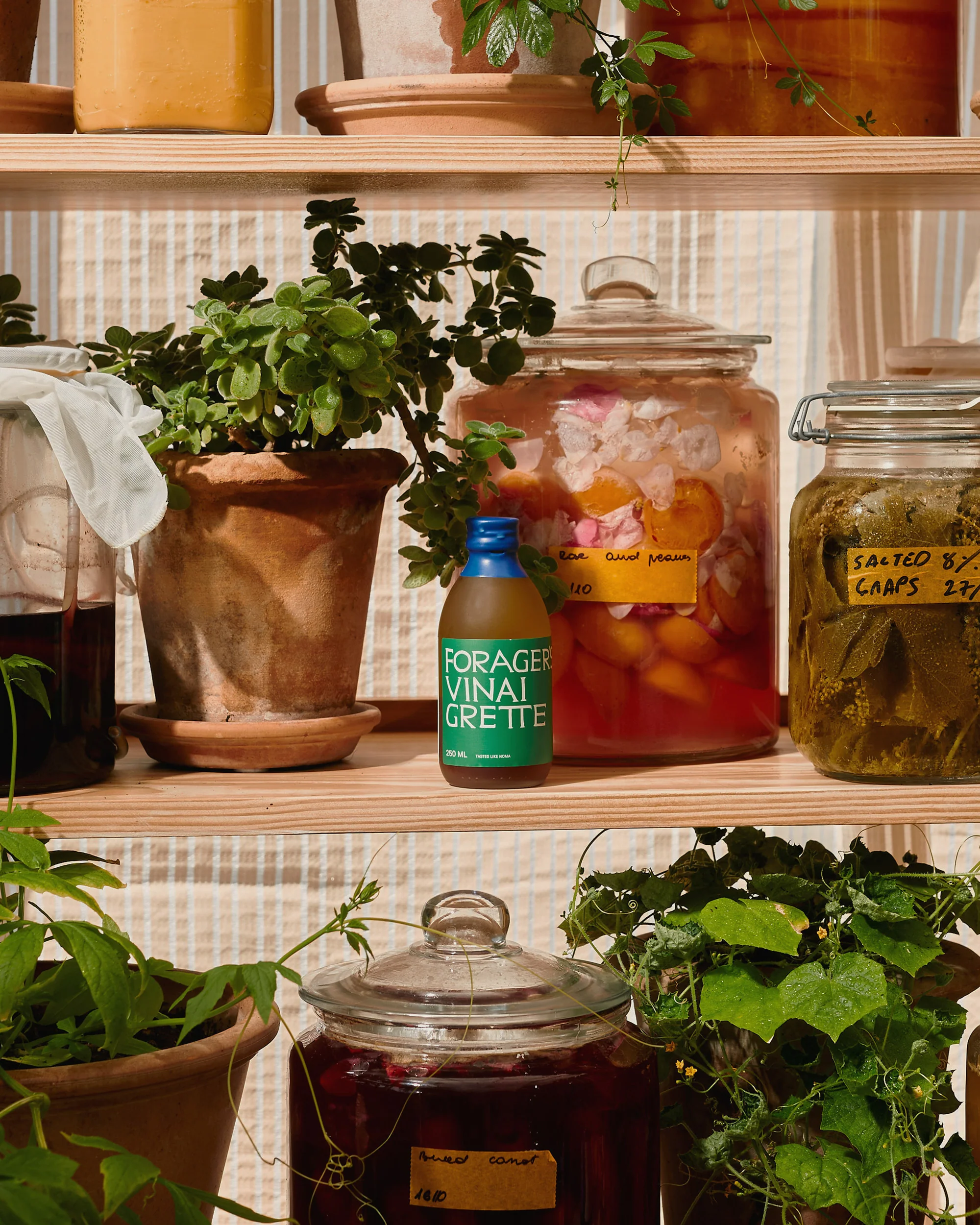 Forager's Vinaigrette - Image 4