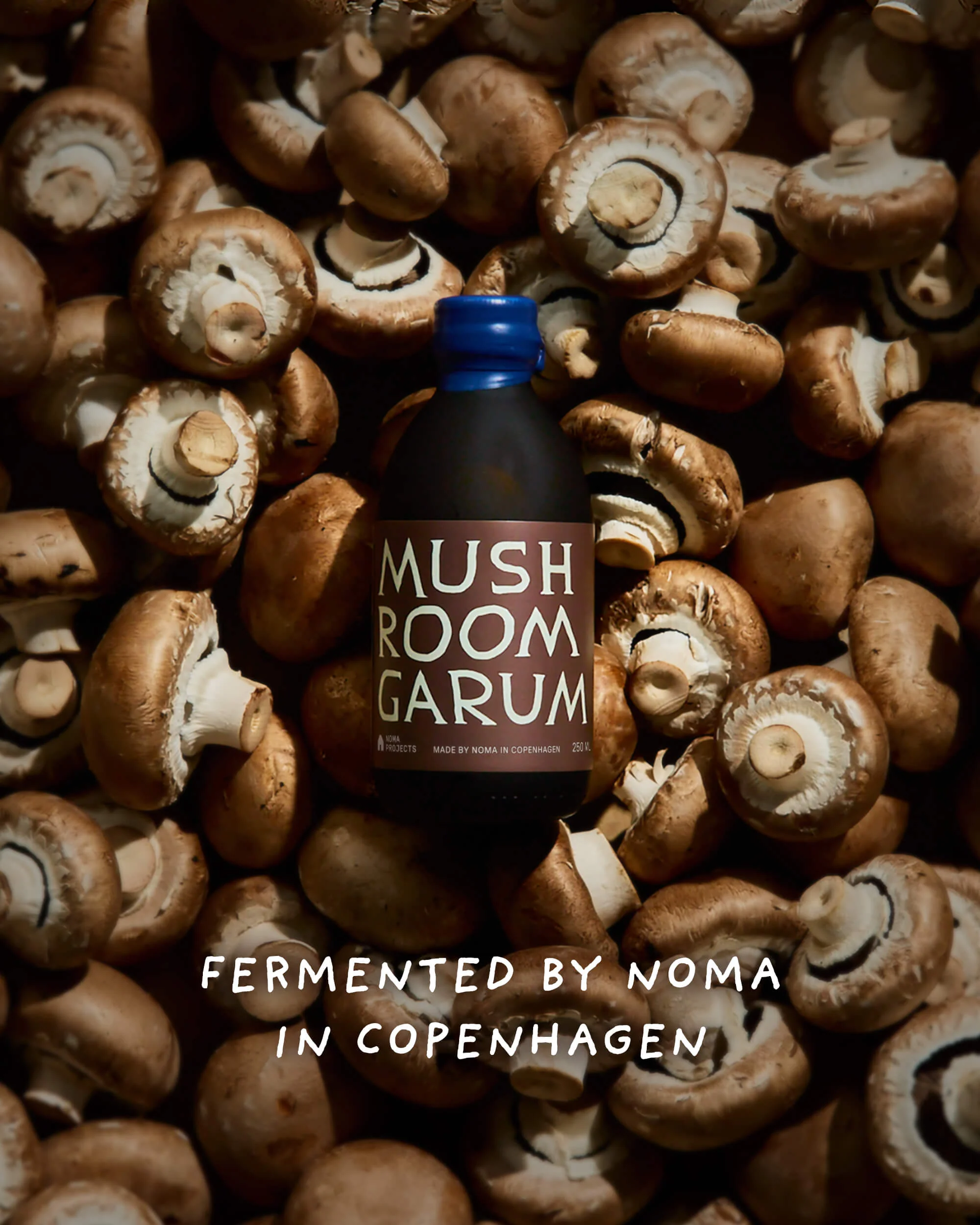 Mushroom Garum - Image 3