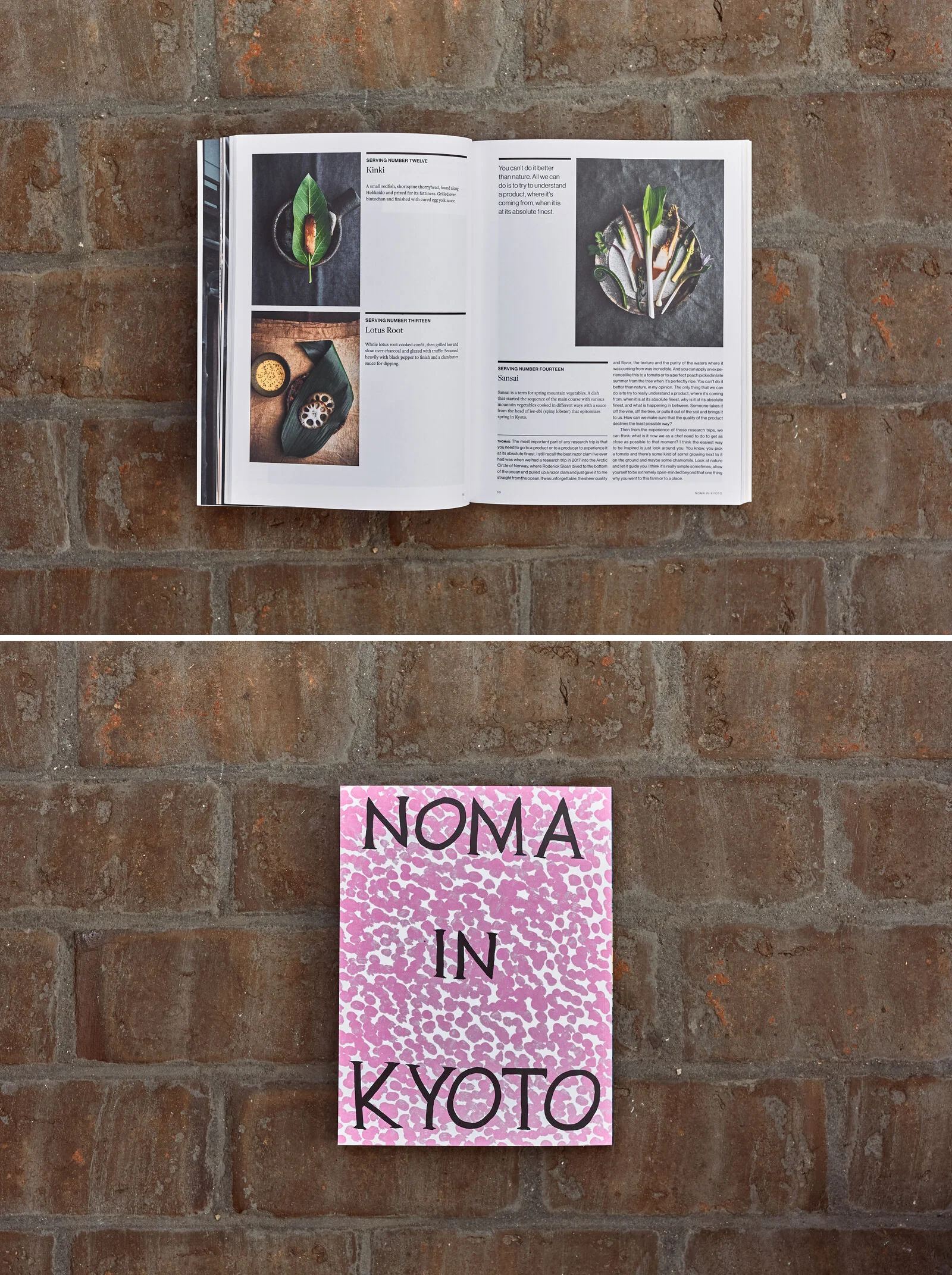 Noma in Kyoto - Image 3