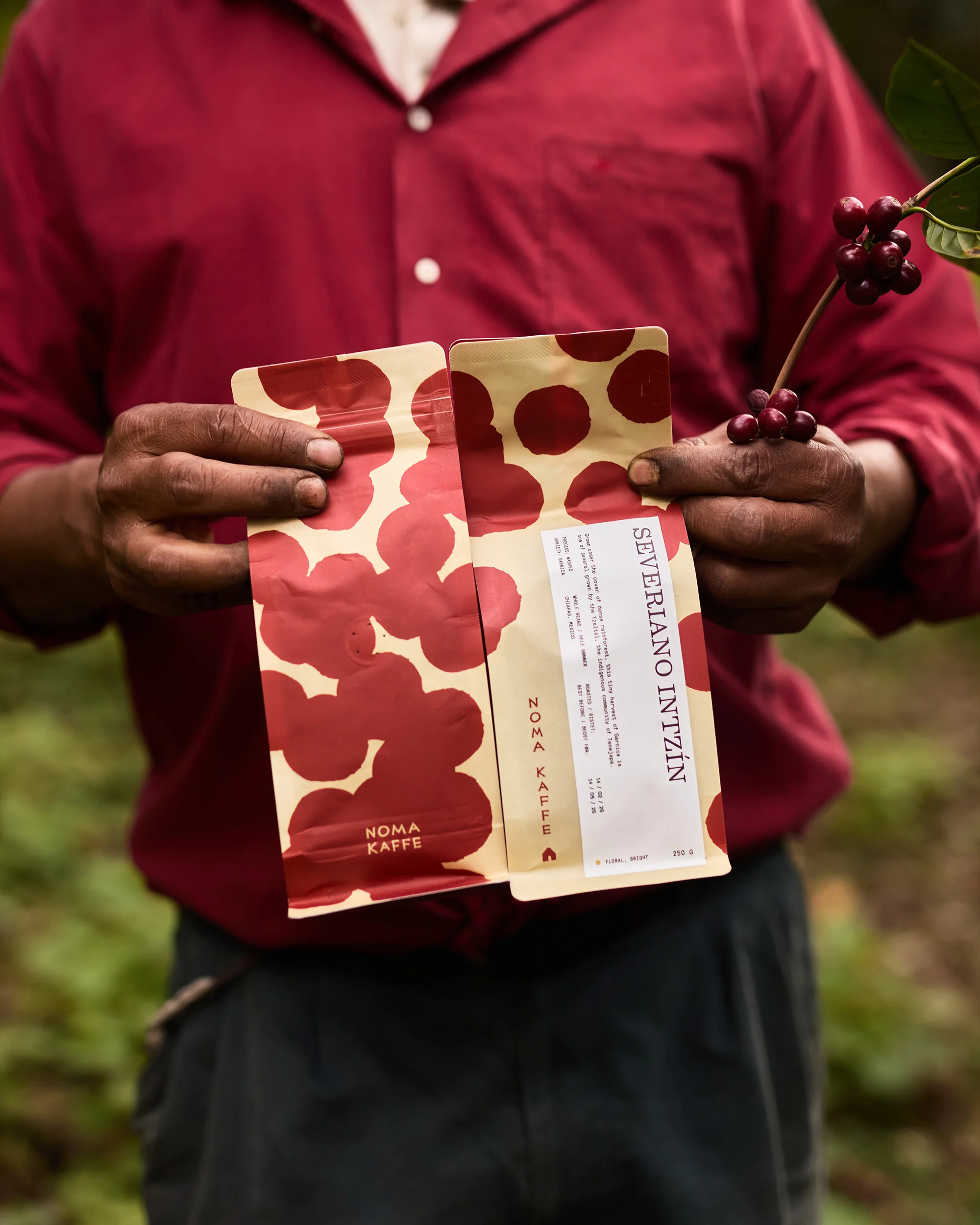 Noma Kaffe Subscription - Image 3