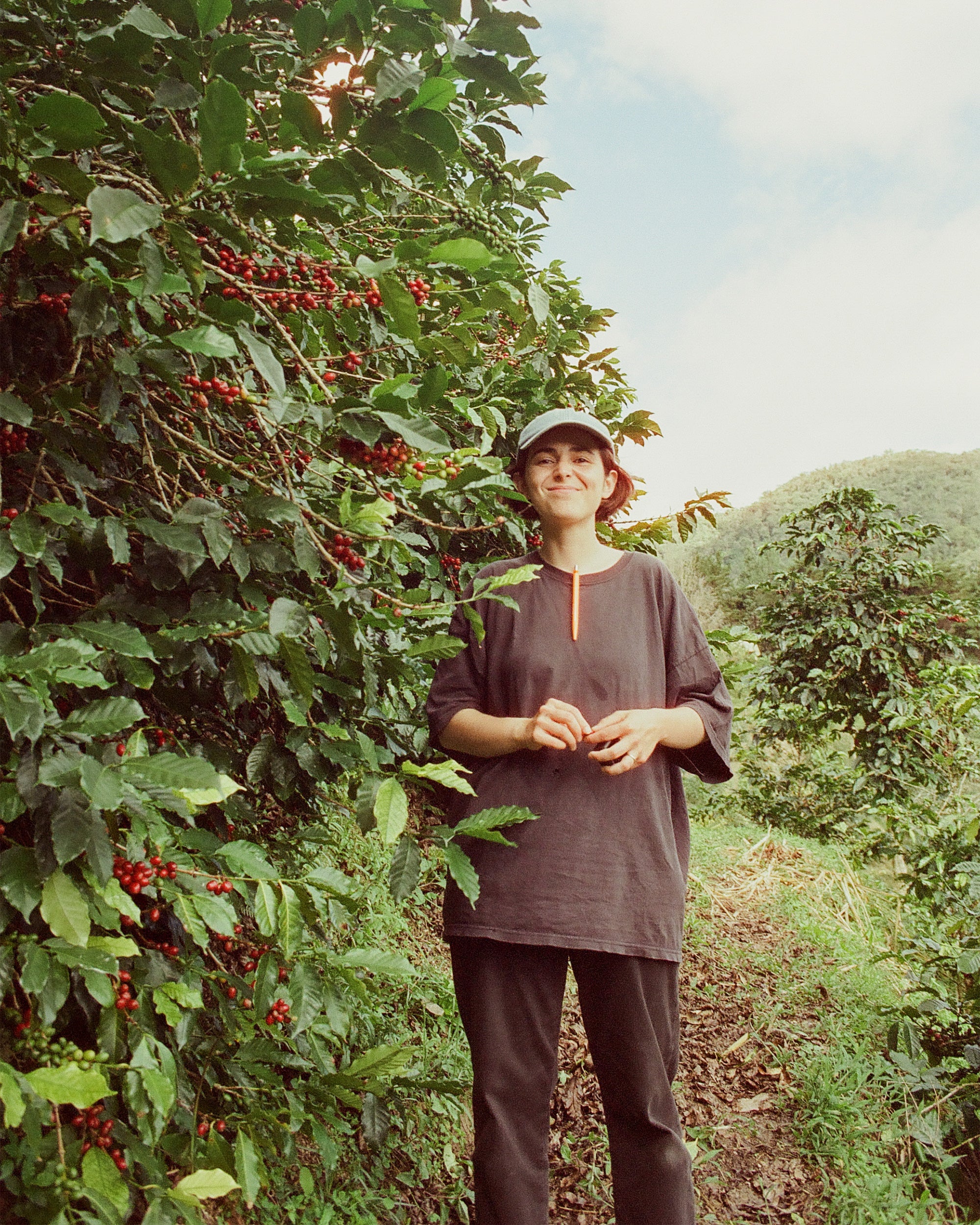 Mexican Coffee Tasting - Image 2