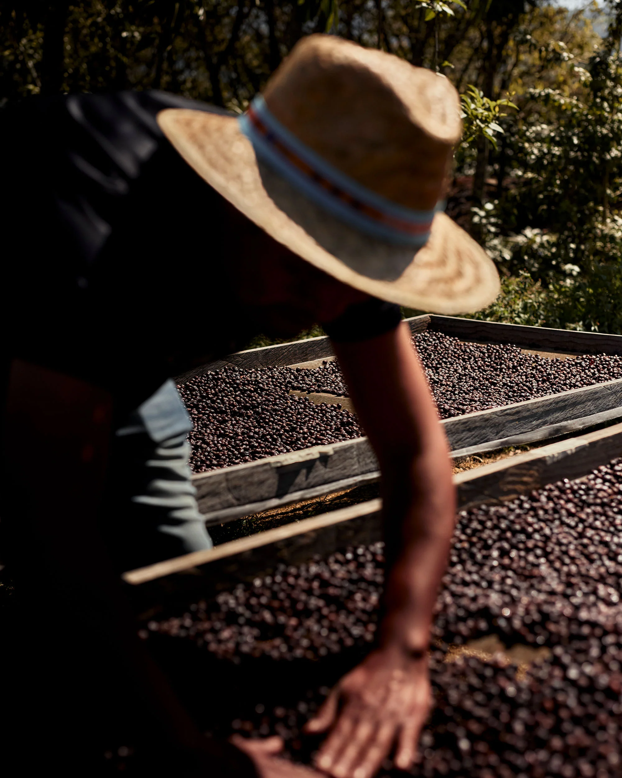 Mexican Coffee Tasting - Image 3