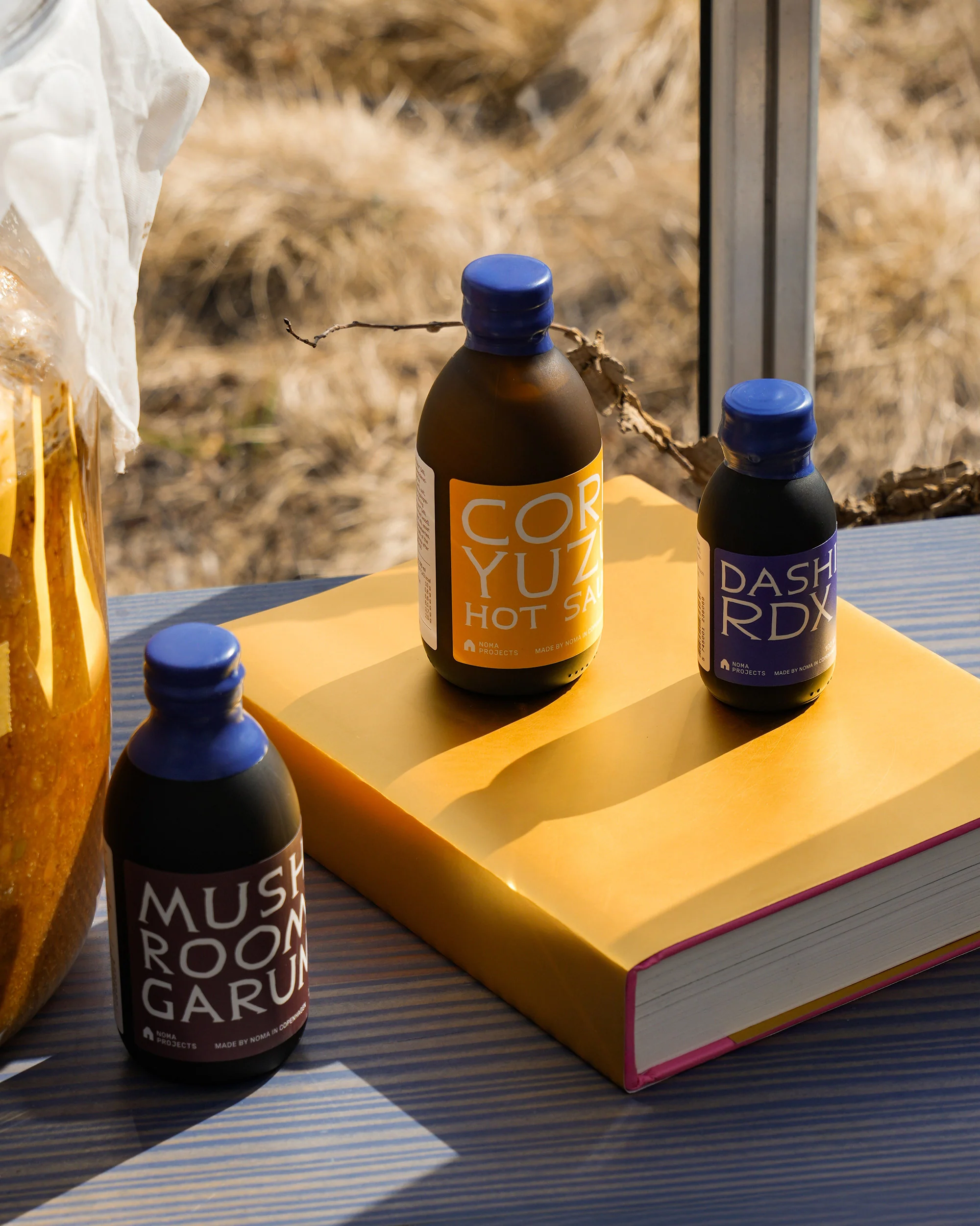Noma Guide to Building Flavour - Image 3