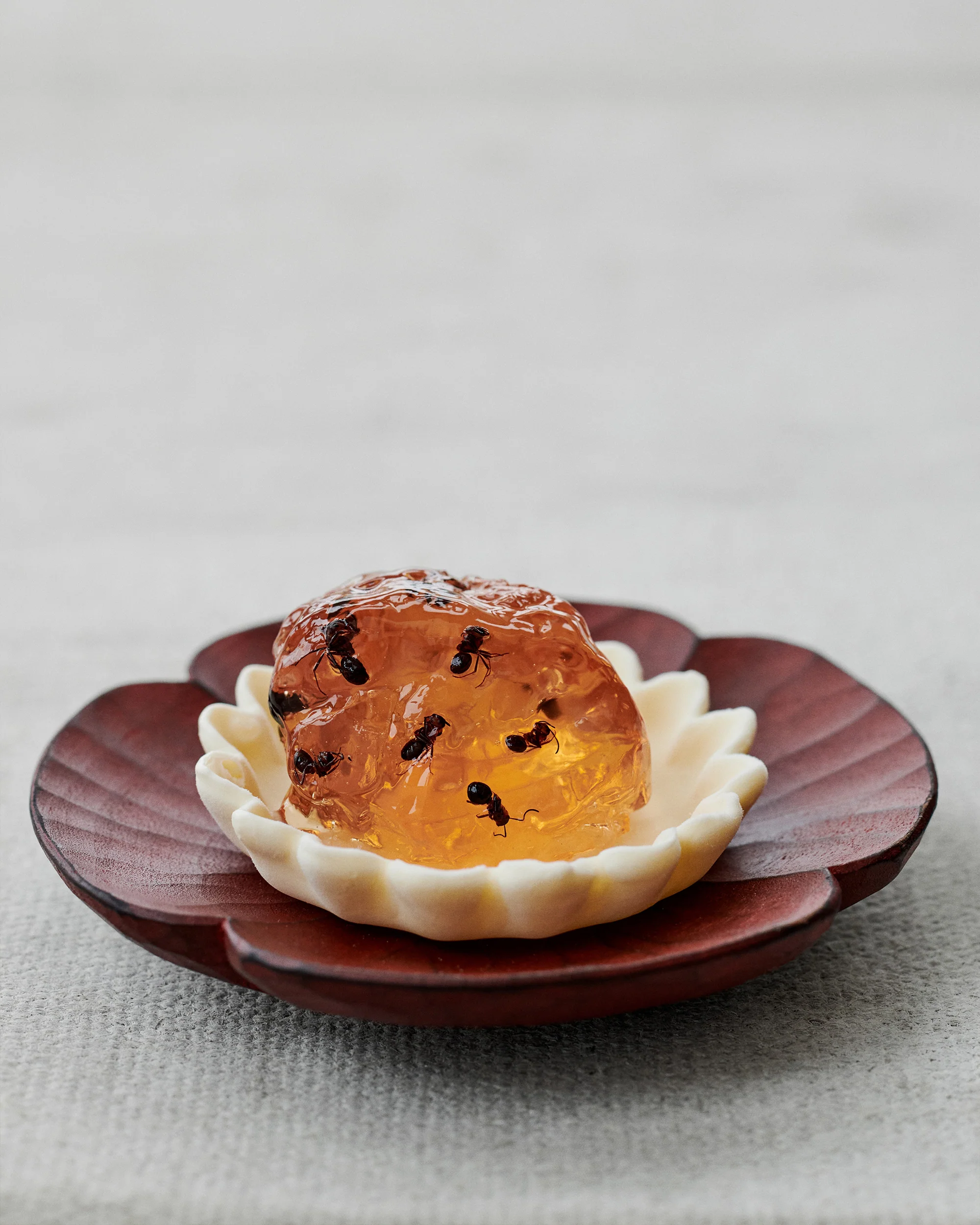 Noma Guide to Building Flavour - Image 4
