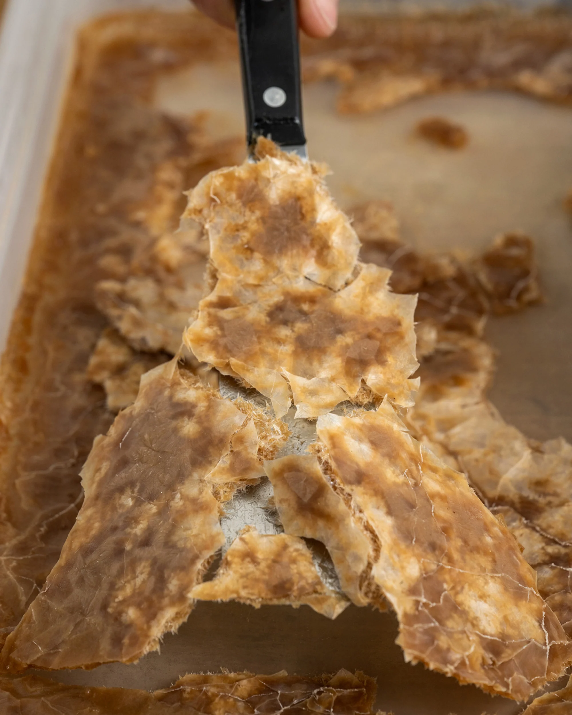 Noma Guide to Building Flavour - Image 5