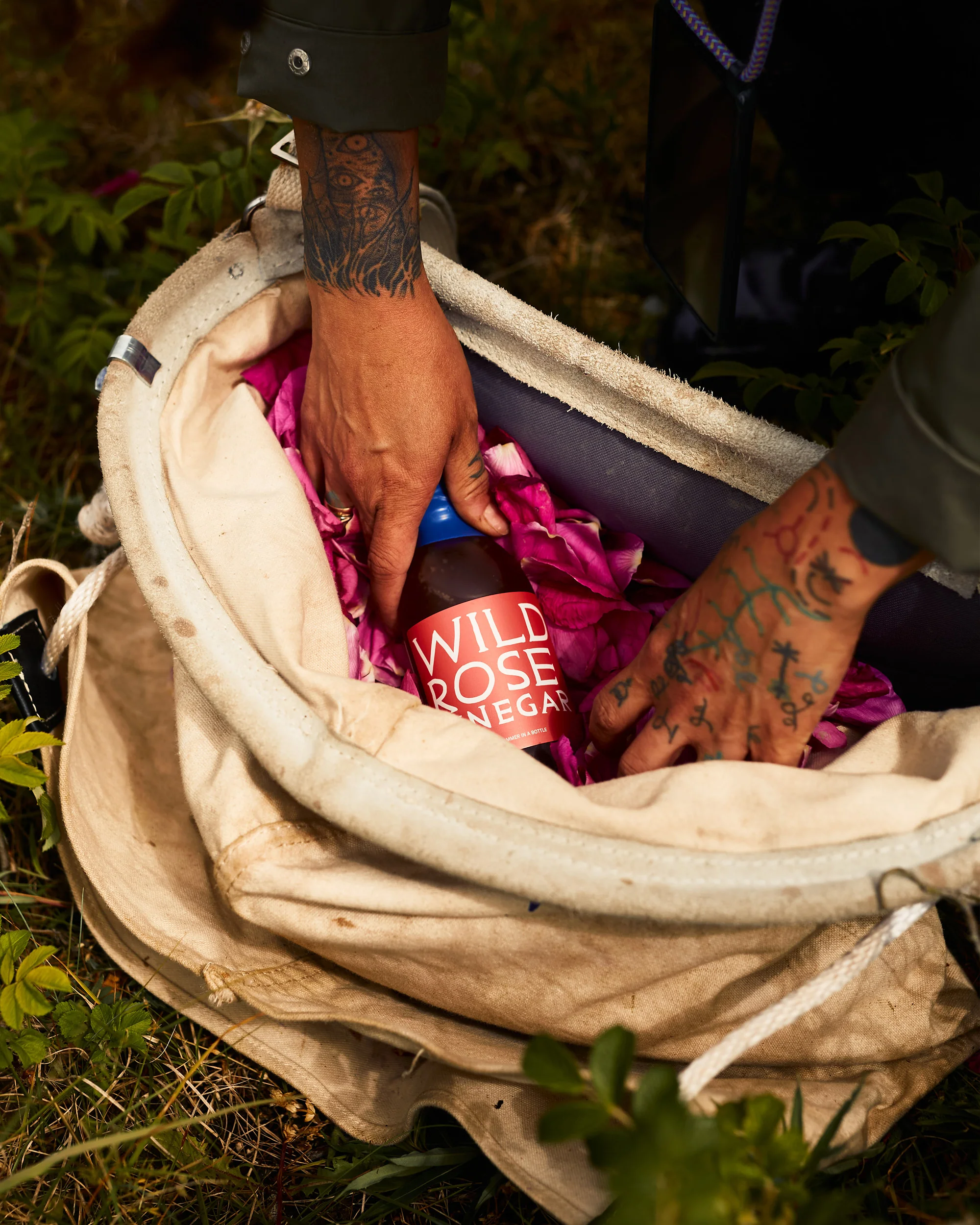 Wild Rose Vinegar - Image 3
